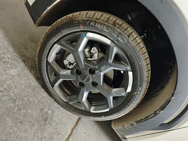 BYD Seagull 2025 2025款 智驾版 405km 自在版