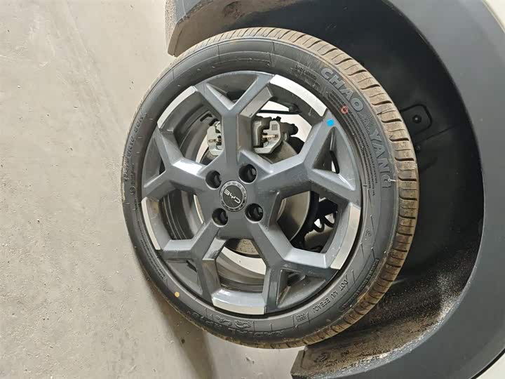 BYD Seagull 2025 2025款 智驾版 405km 自在版