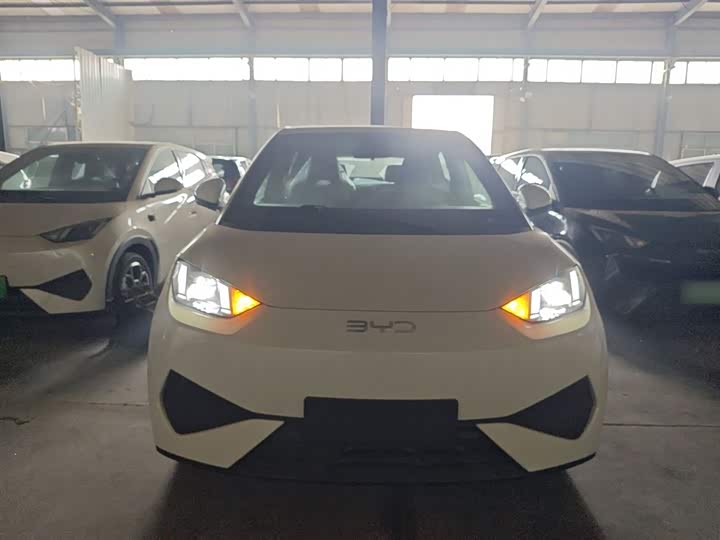 BYD Seagull 2025 2025款 智驾版 405km 自在版