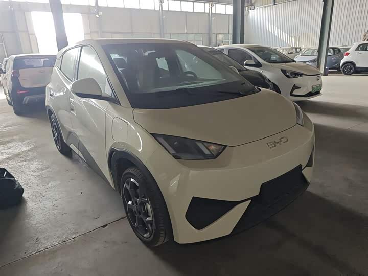 BYD Seagull 2025 2025款 智驾版 405km 自在版