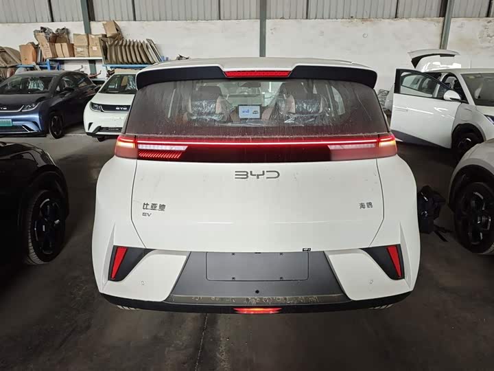 BYD Seagull 2025 2025款 智驾版 405km 自在版