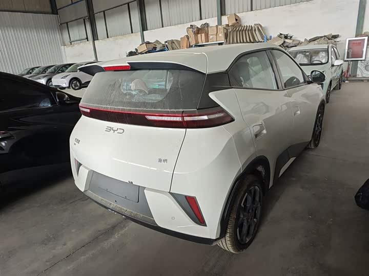 BYD Seagull 2025 2025款 智驾版 405km 自在版