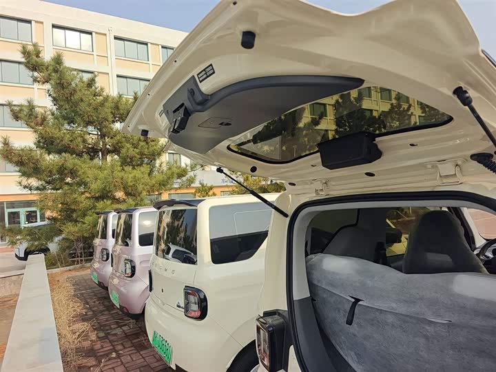 Geely Galaxy Panda Mini 2025 2025款 熊猫mini 210km 元气熊