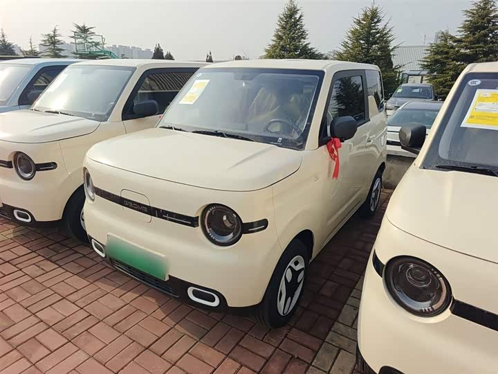 Geely Galaxy Panda Mini 2025 2025款 熊猫mini 210km 元气熊