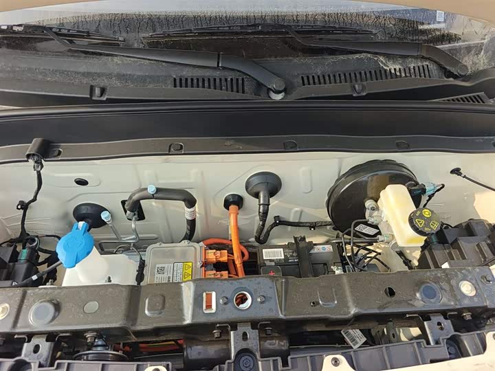 Geely Galaxy Panda Mini 2025 2025款 熊猫mini 210km 元气熊