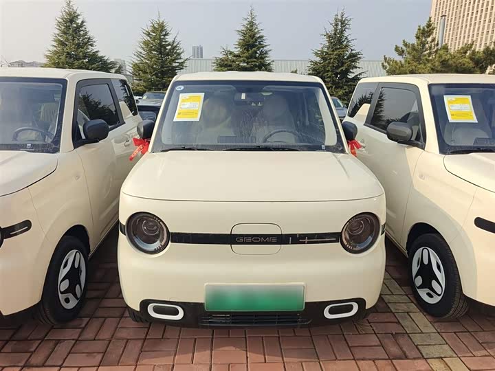 Geely Galaxy Panda Mini 2025 2025款 熊猫mini 210km 元气熊