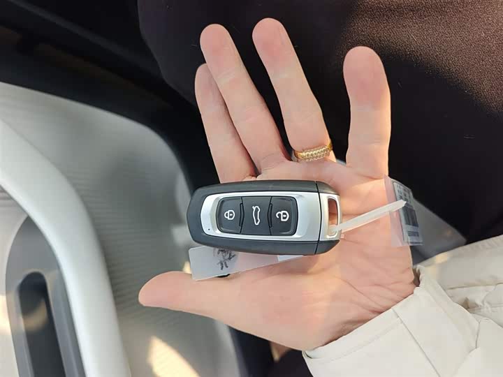 Geely Galaxy Panda Mini 2025 2025款 熊猫mini 210km 元气熊