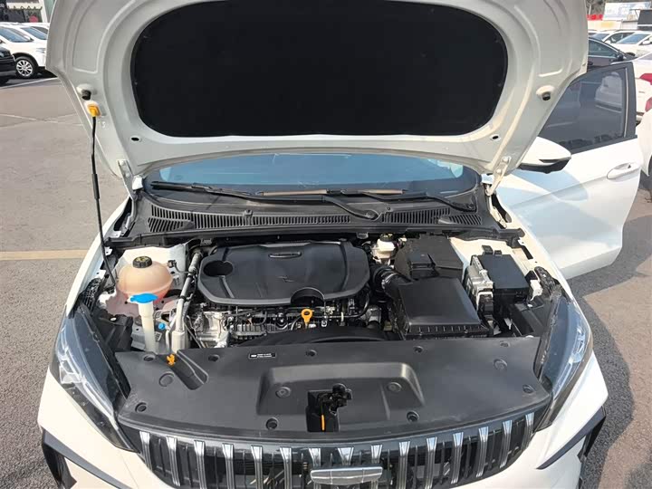 Geely Binrui 2024 2024款 缤瑞COOL 1.5T DCT龙腾版