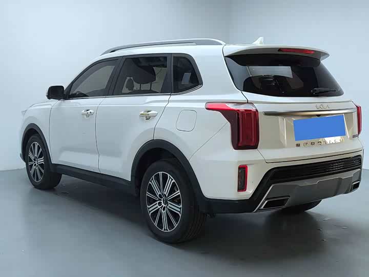 Kia Sportage GT-line 2021 2021款 Ace 2.0L 精彩版