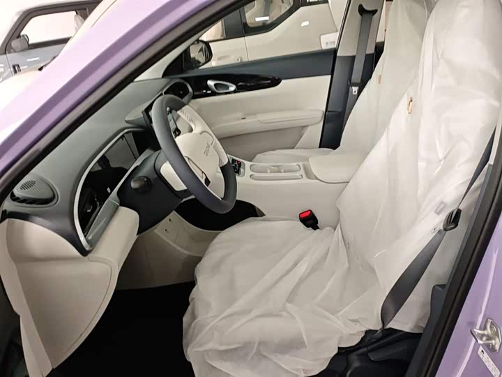 Geely Galaxy Geome 2026 2026款 310km 青春版