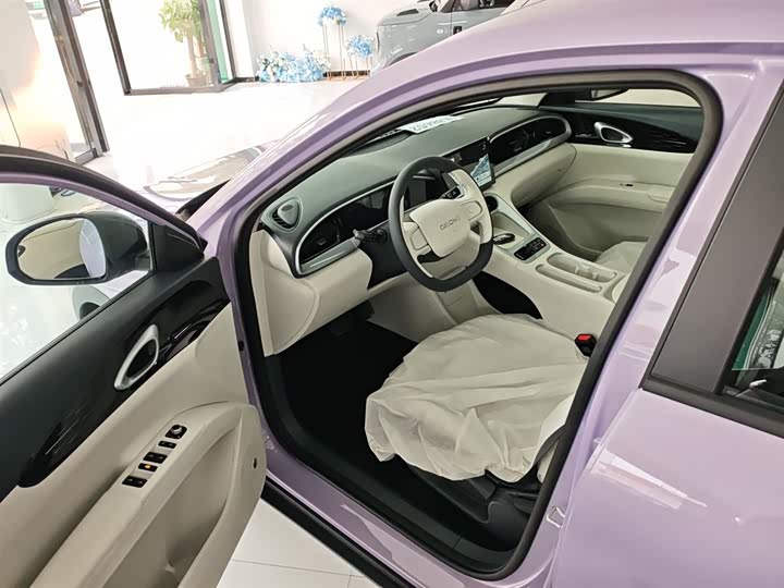 Geely Galaxy Geome 2026 2026款 310km 青春版