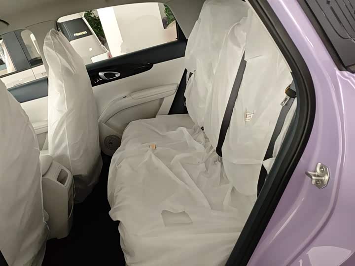 Geely Galaxy Geome 2026 2026款 310km 青春版