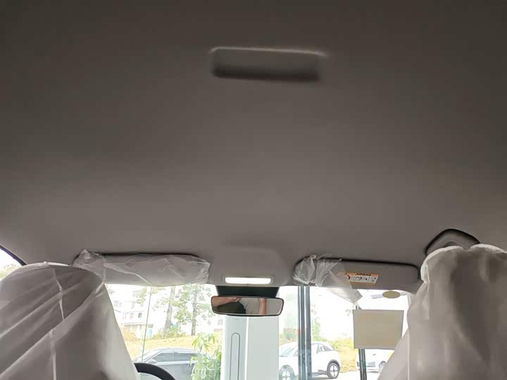 Geely Galaxy Geome 2026 2026款 310km 青春版