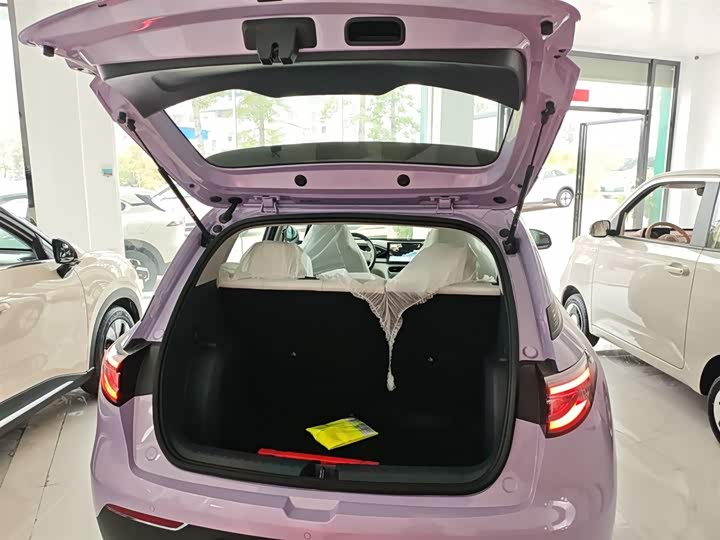 Geely Galaxy Geome 2026 2026款 310km 青春版