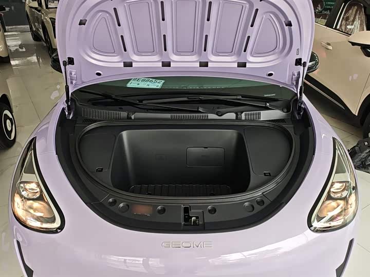 Geely Galaxy Geome 2026 2026款 310km 青春版