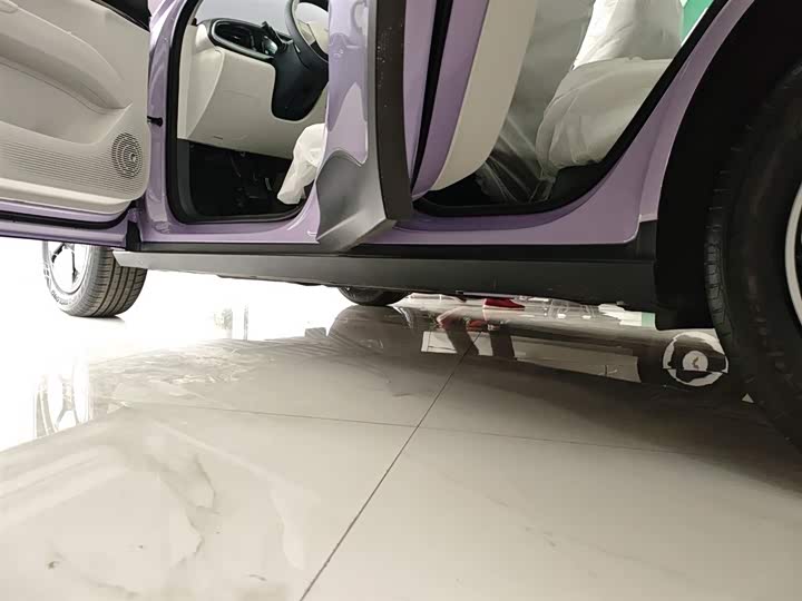 Geely Galaxy Geome 2026 2026款 310km 青春版