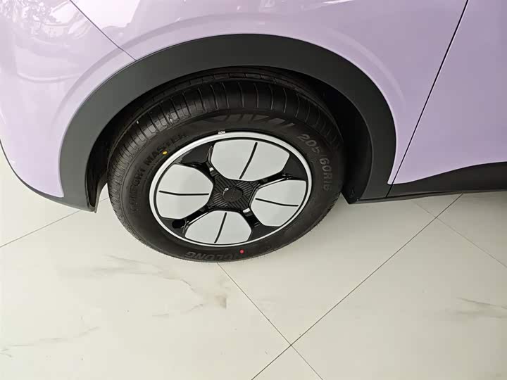 Geely Galaxy Geome 2026 2026款 310km 青春版