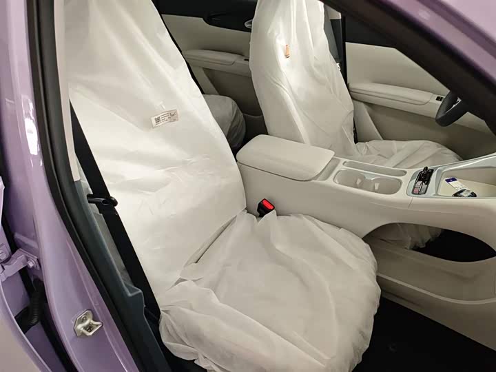 Geely Galaxy Geome 2026 2026款 310km 青春版