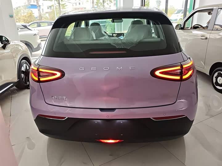 Geely Galaxy Geome 2026 2026款 310km 青春版