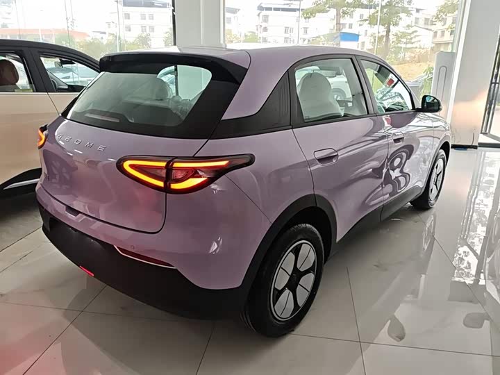 Geely Galaxy Geome 2026 2026款 310km 青春版