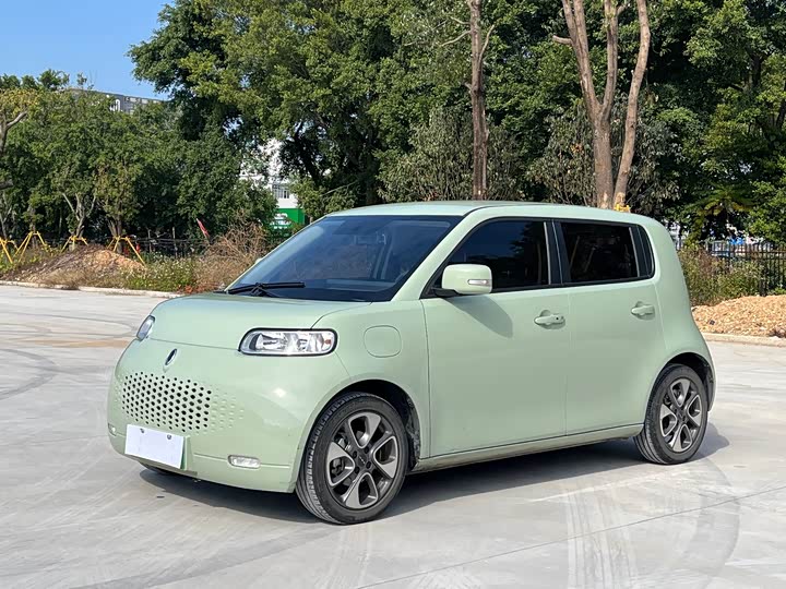 Ora White Cat 2022 2022款 升级版 305km 豪华型 三元锂