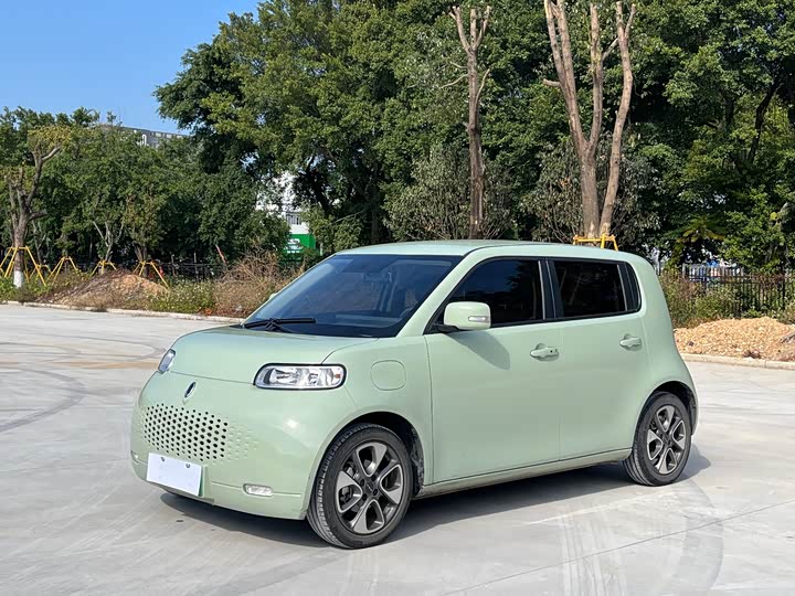 Ora White Cat 2022 2022款 升级版 305km 豪华型 三元锂