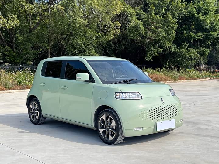 Ora White Cat 2022 2022款 升级版 305km 豪华型 三元锂