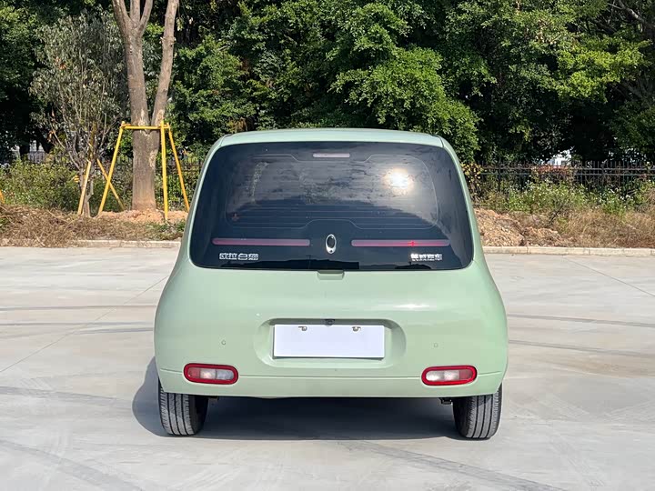 Ora White Cat 2022 2022款 升级版 305km 豪华型 三元锂