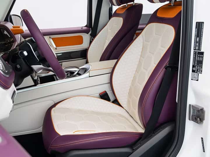 Mercedes-Benz G-Class AMG 2023 2023款 AMG G 63