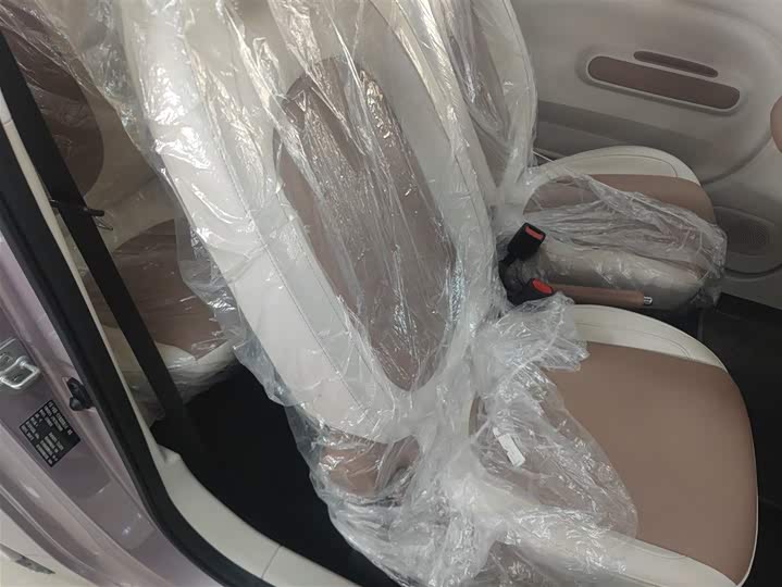 Bestune Pony 2026 2026款 222km 闪耀马