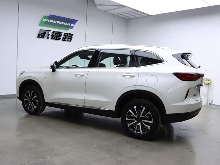 Haval H6 2024 2024款 1.5T 两驱经典版