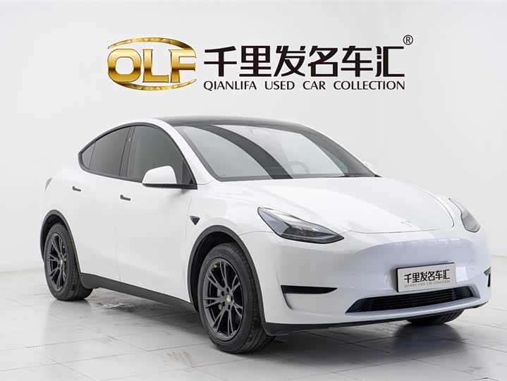 Tesla Model Y 2024 2024款 后轮驱动版