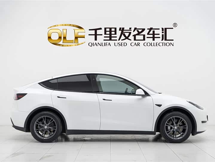 Tesla Model Y 2024 2024款 后轮驱动版