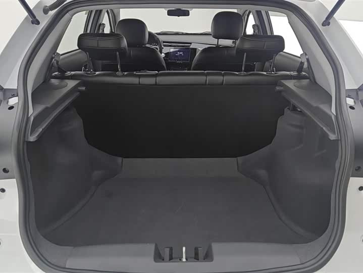 Chery Tiggo 3x 2024 2024款 1.5L CVT卓越版