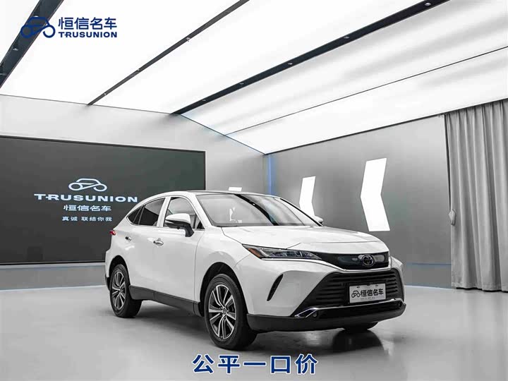 Toyota Harrier 2023 2023款 2.0L CVT两驱豪华版