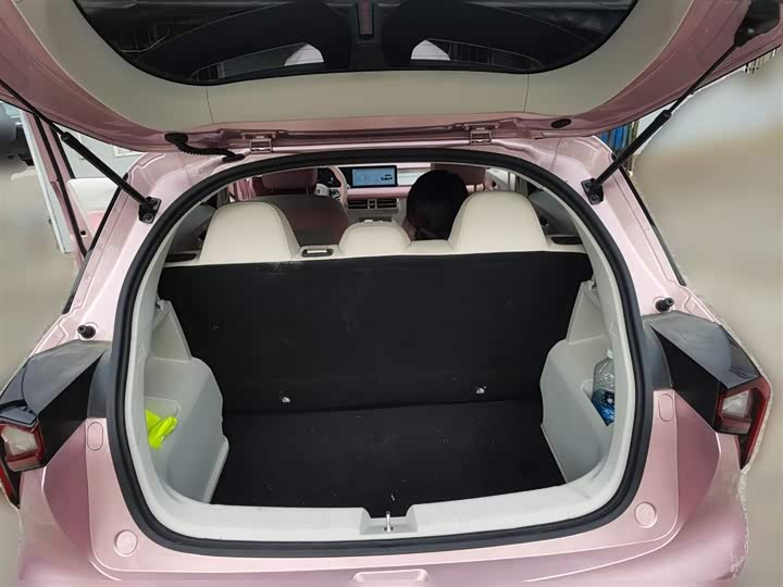 Geely Geometry E Firefly 2024 2024款 301km 星光