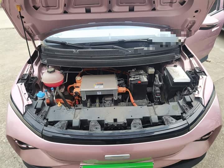 Geely Geometry E Firefly 2024 2024款 301km 星光