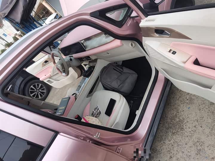 Geely Geometry E Firefly 2024 2024款 301km 星光