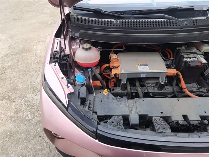 Geely Geometry E Firefly 2024 2024款 301km 星光