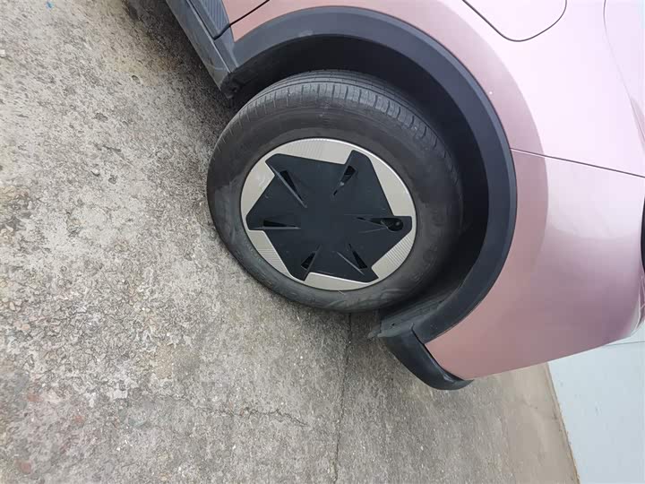 Geely Geometry E Firefly 2024 2024款 301km 星光