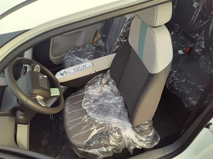 Changan Qiyuan (Nevo) Lumin 2025 2025款 205km 香沁款