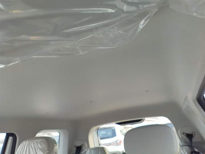 Changan Qiyuan (Nevo) Lumin 2025 2025款 205km 香沁款