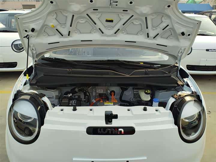 Changan Qiyuan (Nevo) Lumin 2025 2025款 205km 香沁款