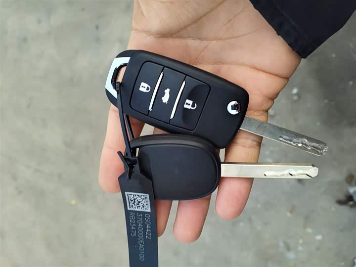 Changan Qiyuan (Nevo) Lumin 2025 2025款 205km 香沁款