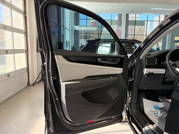 Volkswagen Teramont X 2024 2024款 途昂X 380TSI 四驱龙祥版