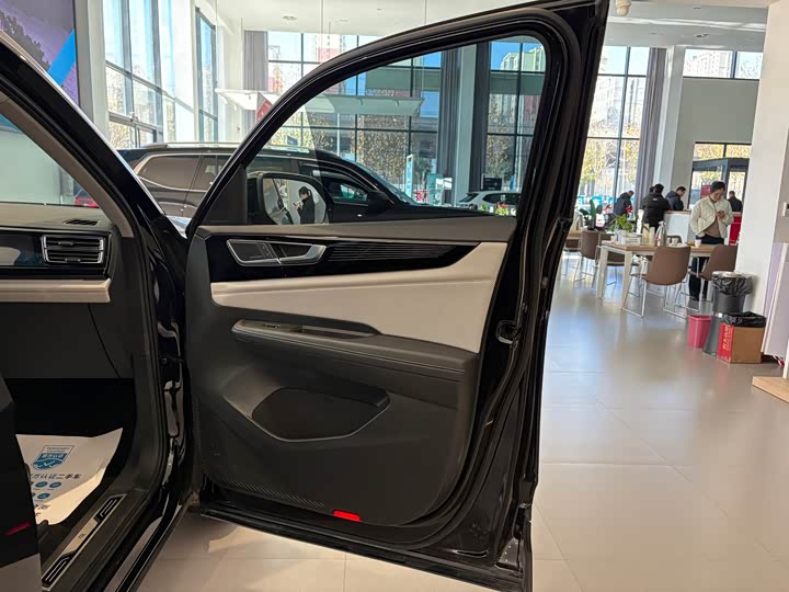 Volkswagen Teramont X 2024 2024款 途昂X 380TSI 四驱龙祥版