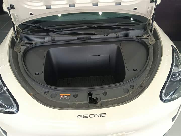 Geely Galaxy Geome 2026 2026款 310km 青春版