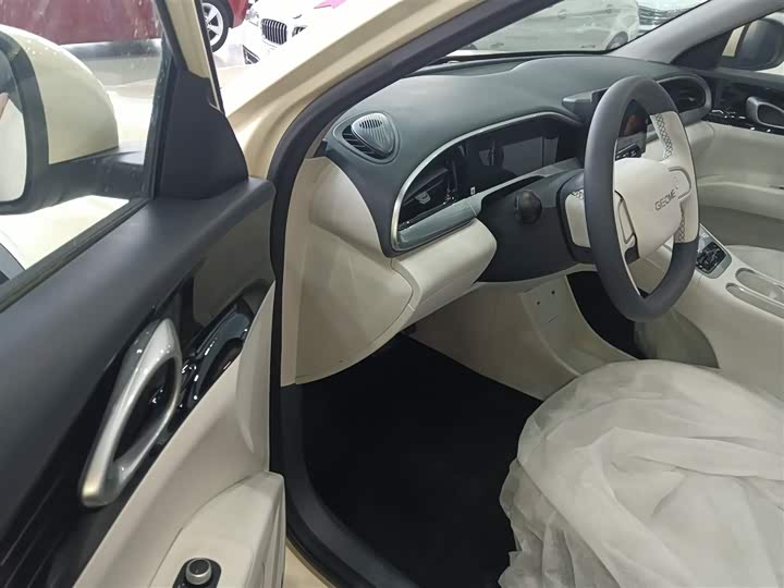 Geely Galaxy Geome 2026 2026款 310km 青春版