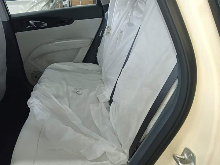 Geely Galaxy Geome 2026 2026款 310km 青春版