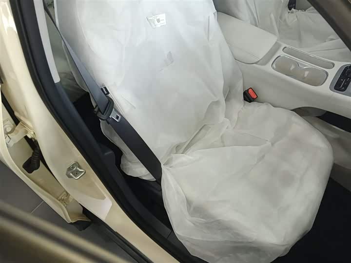 Geely Galaxy Geome 2026 2026款 310km 青春版